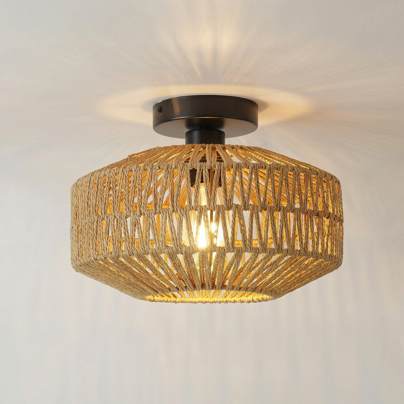 Ceiling Lights Collection